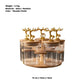 Rotating Bamboo & Glass Jar Set – 5 Pc